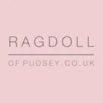 Ragdoll of Pudsey